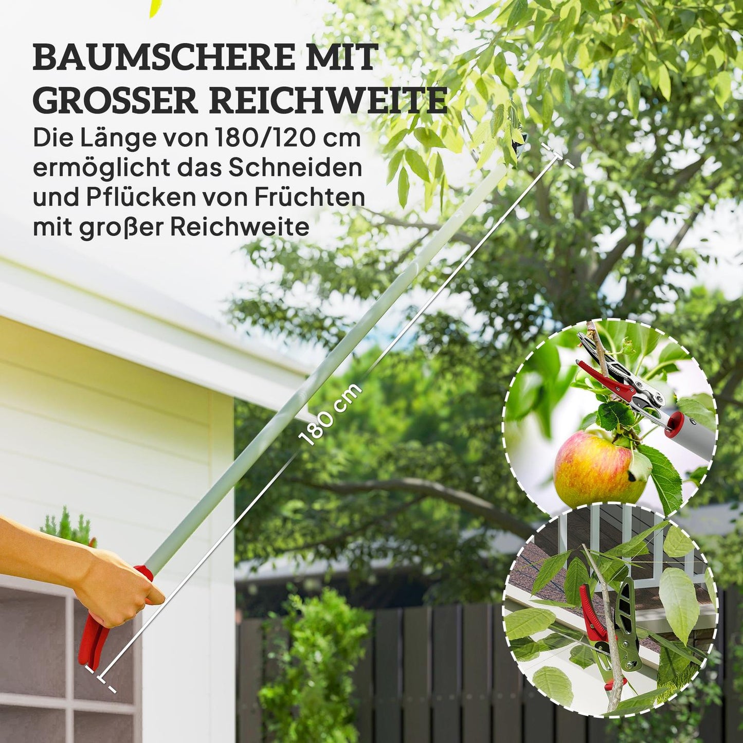 Long-Handled Tree Pruner, 180 cm, Aluminum Handle