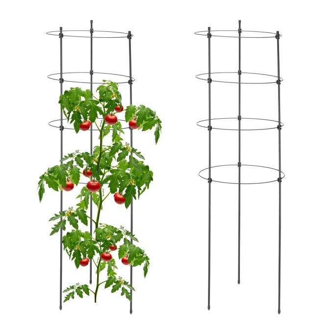 2x Plant Supports with Rings, 90 cm