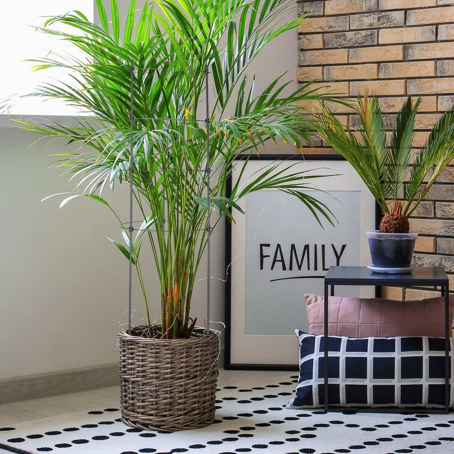 2x Plant Supports with Rings, 90 cm