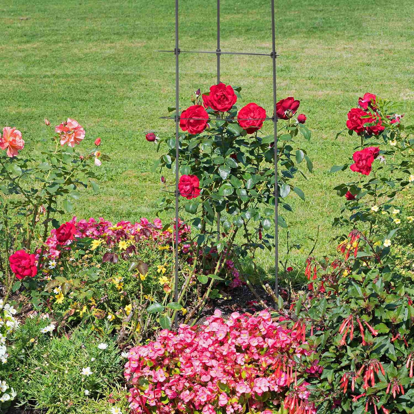 2x Plant Supports with Rings, 90 cm