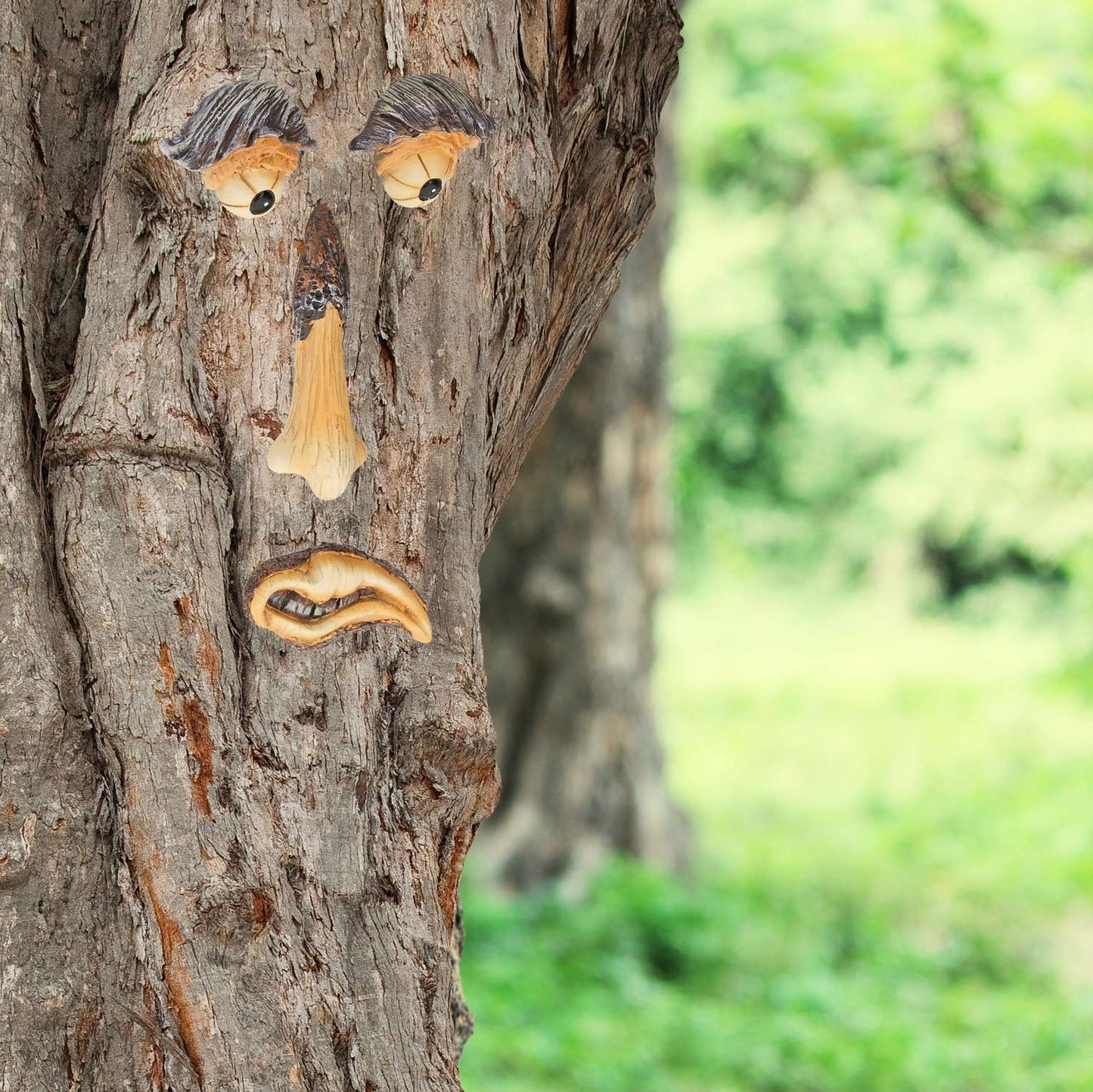 4-piece Tree Face with Brows