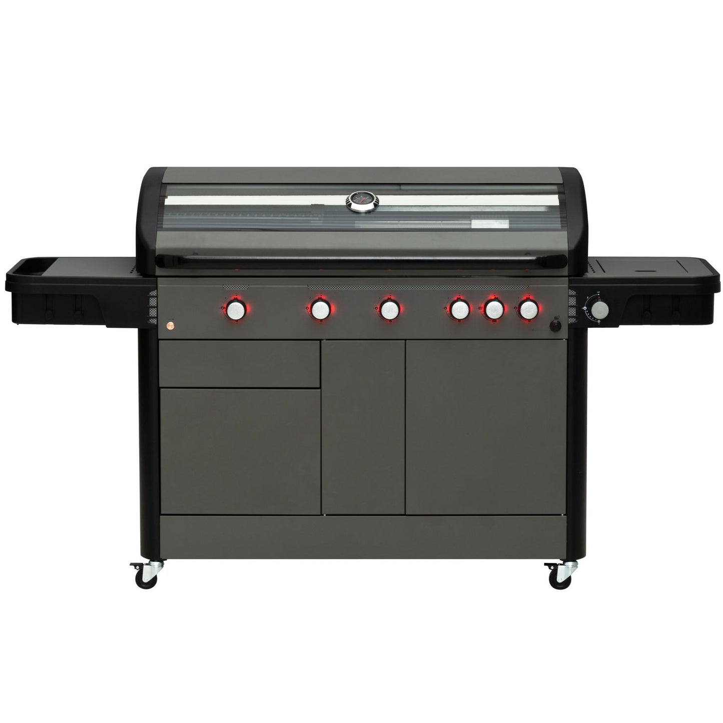 5-Burner Gas Grill with Side and Rear Burners
