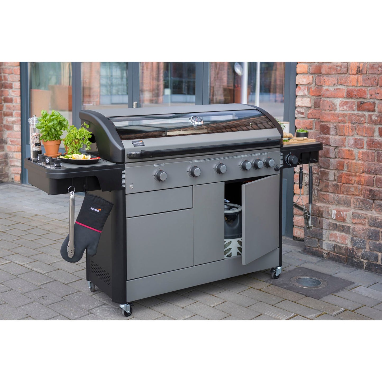 5-Burner Gas Grill with Side and Rear Burners