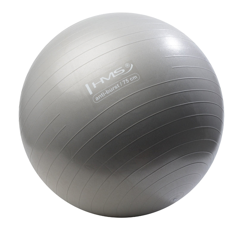 75cm Gray Gym Ball – Anti-Burst, Non-Slip