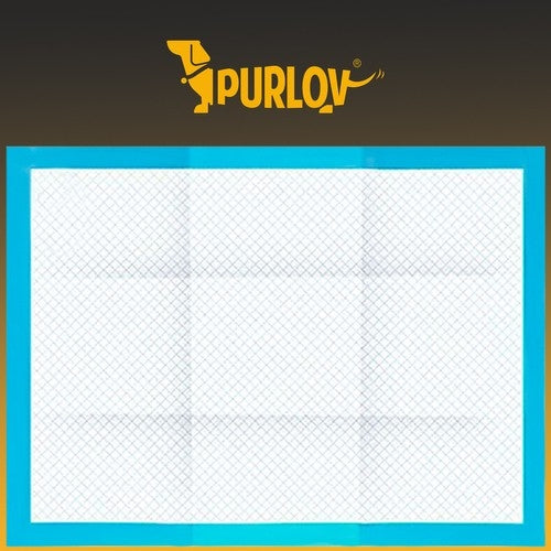 Absorbent hygienic pad - 100 pcs. + bags