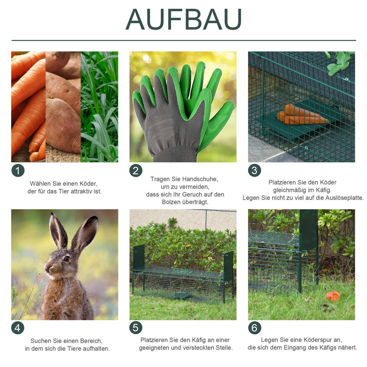 Animal trap in metal for rabbits and cats, double entrances