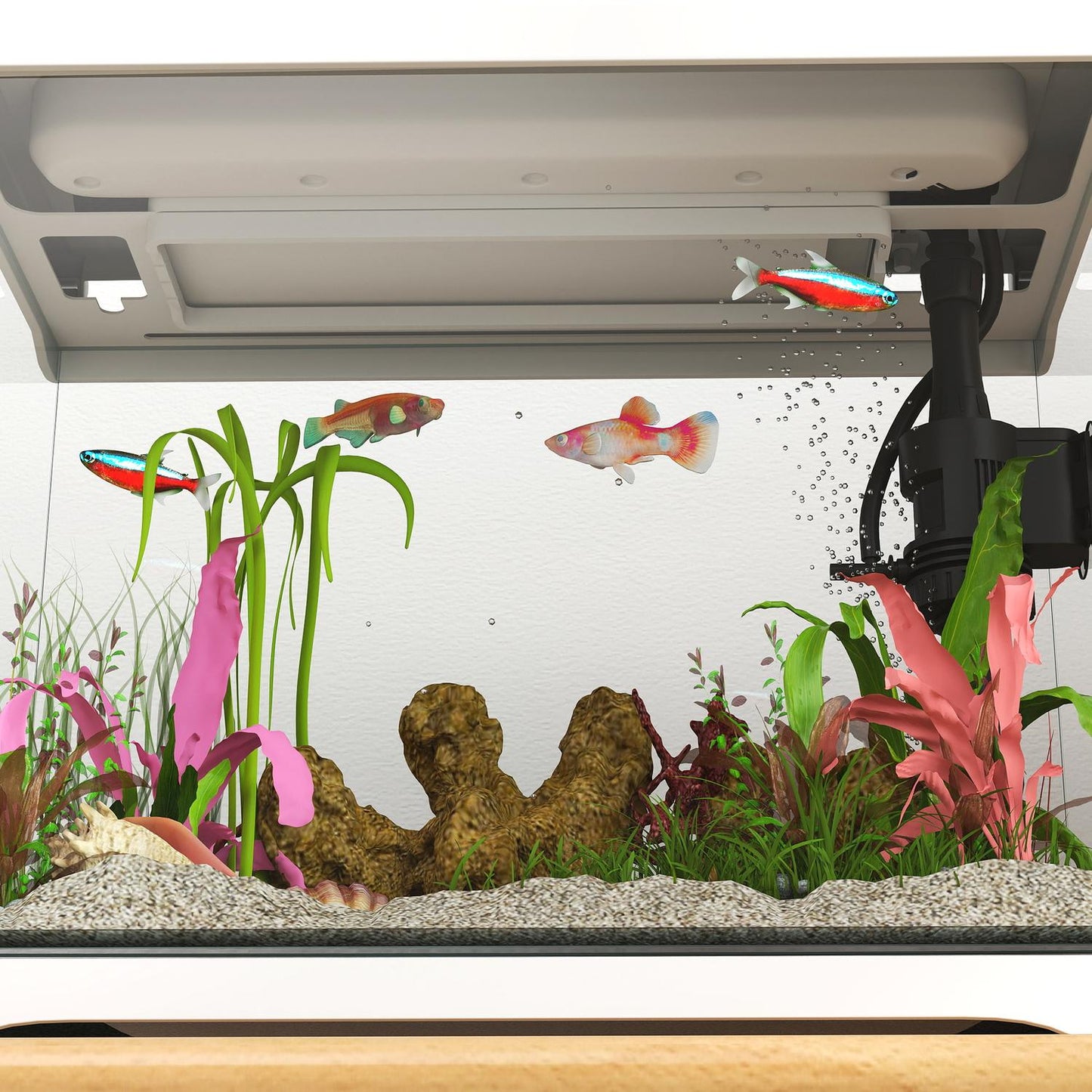 Tropical Fish Tank with LED, Filter & Pump, 17L White