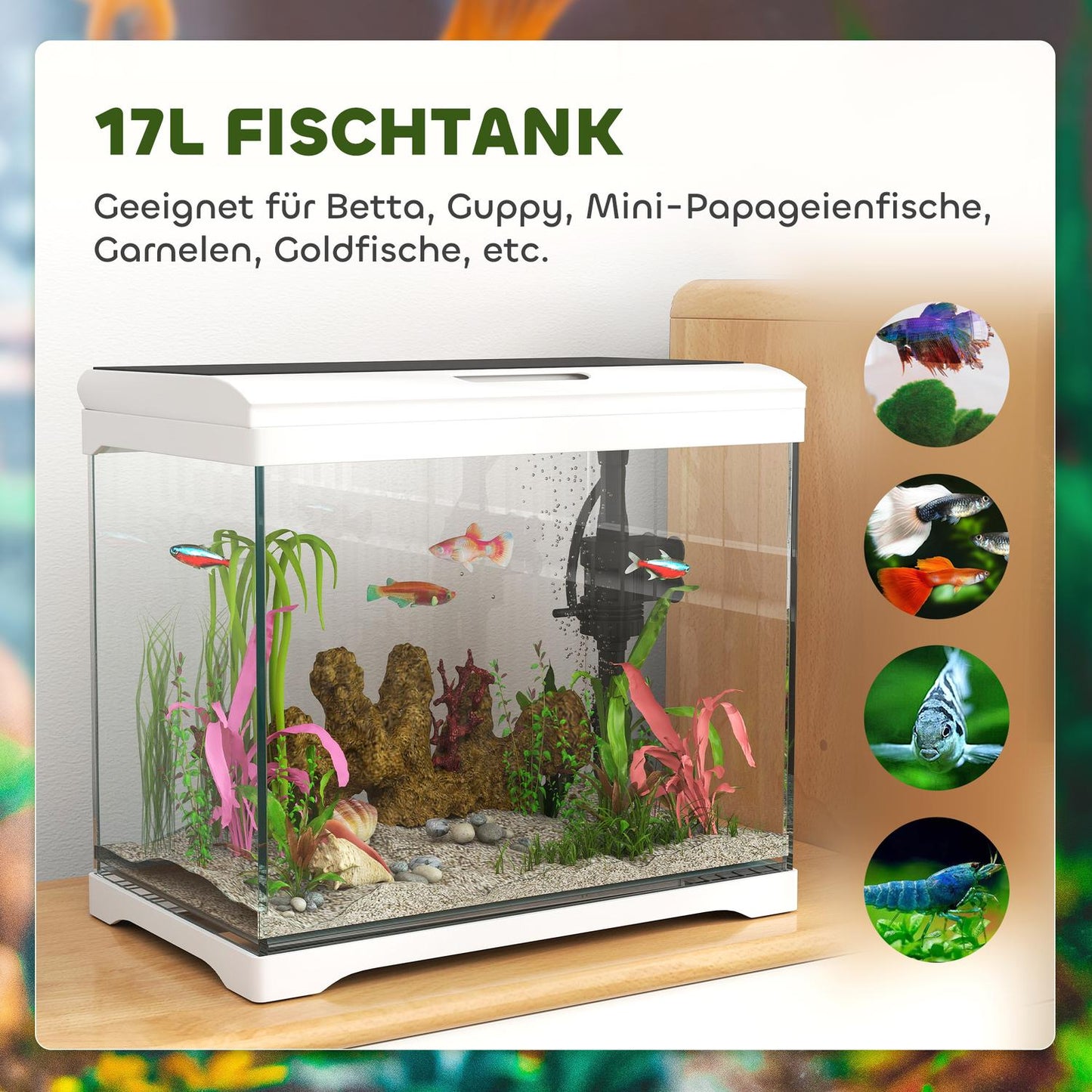 Tropical Fish Tank with LED, Filter & Pump, 17L White