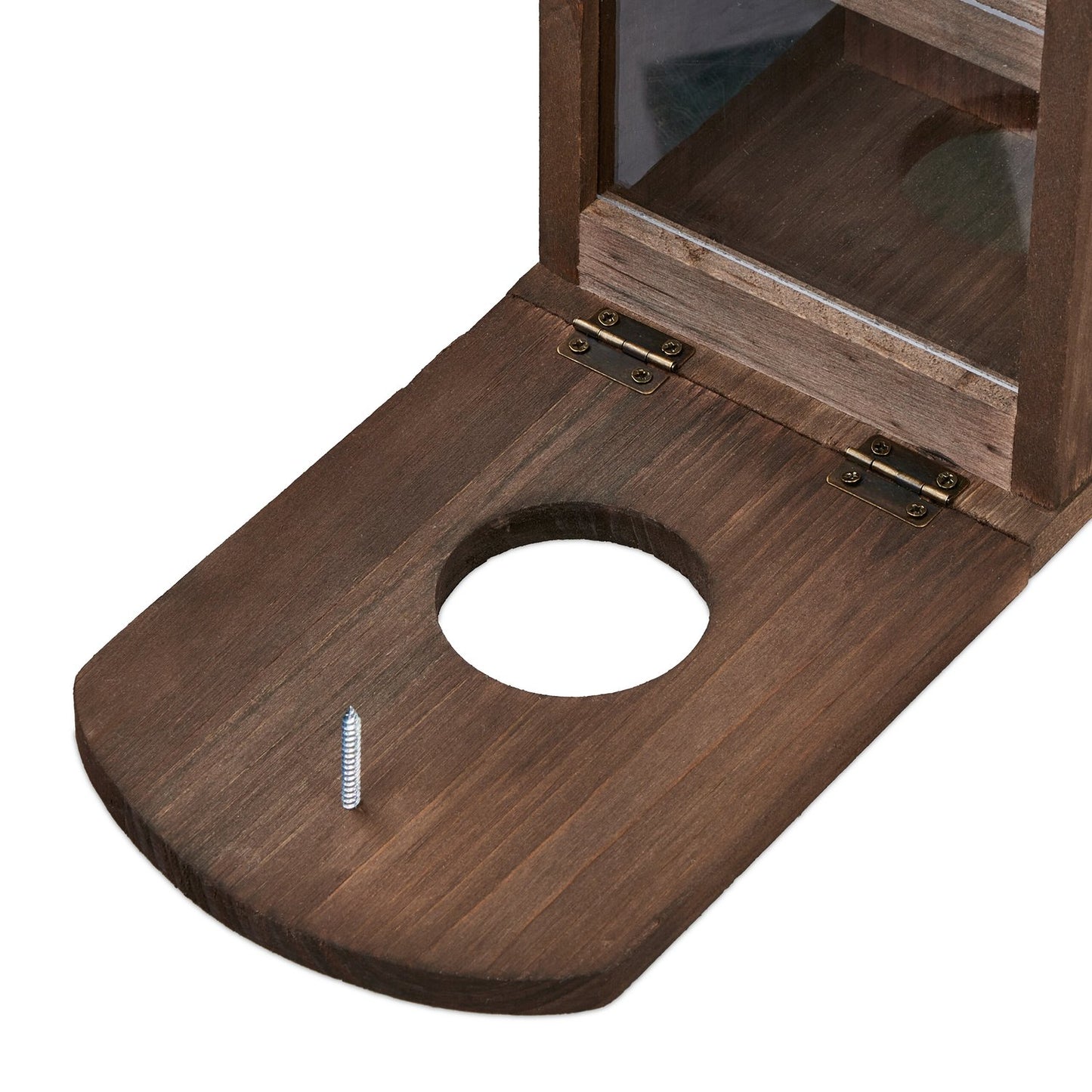 Automatic feeder for brown squirrels made of wood