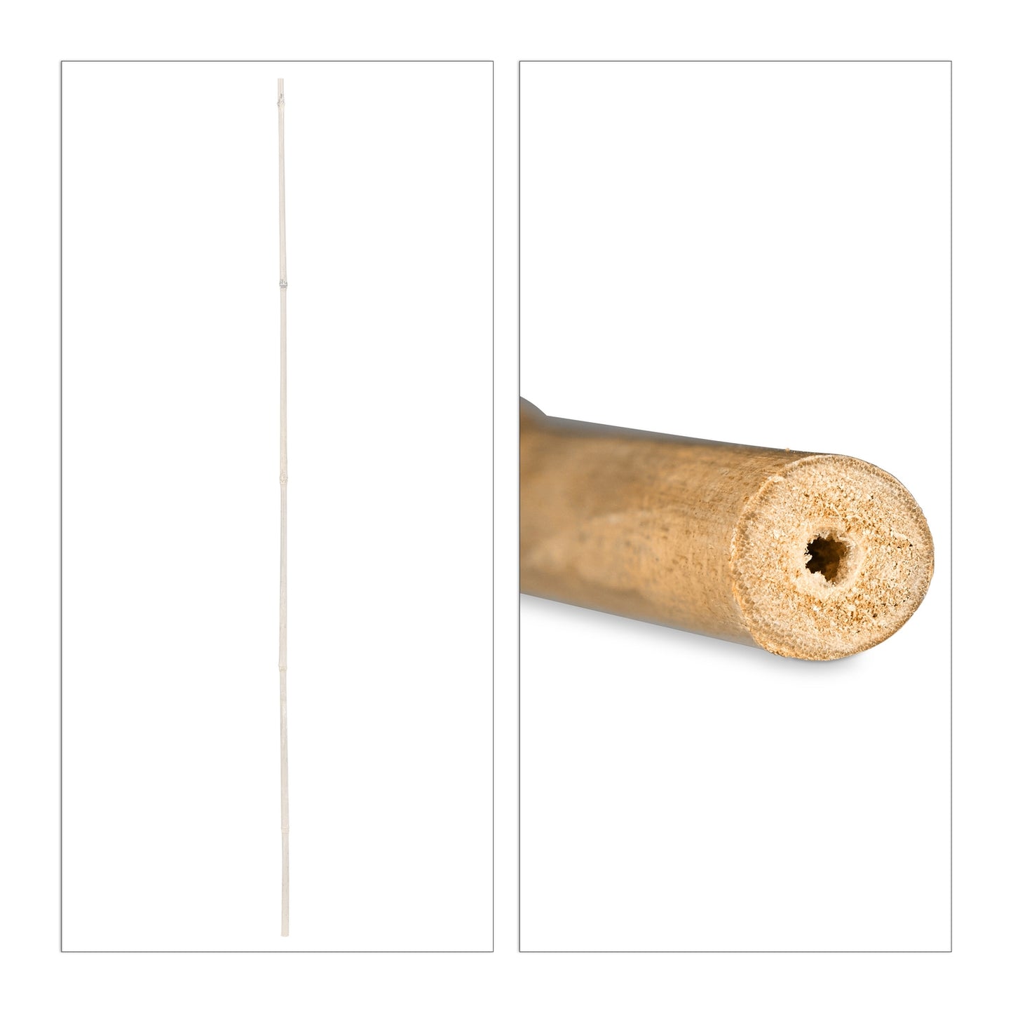 Bamboo Canes 105 cm