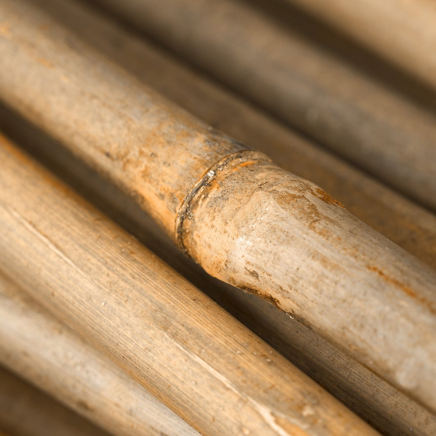 Bamboo Canes 105 cm