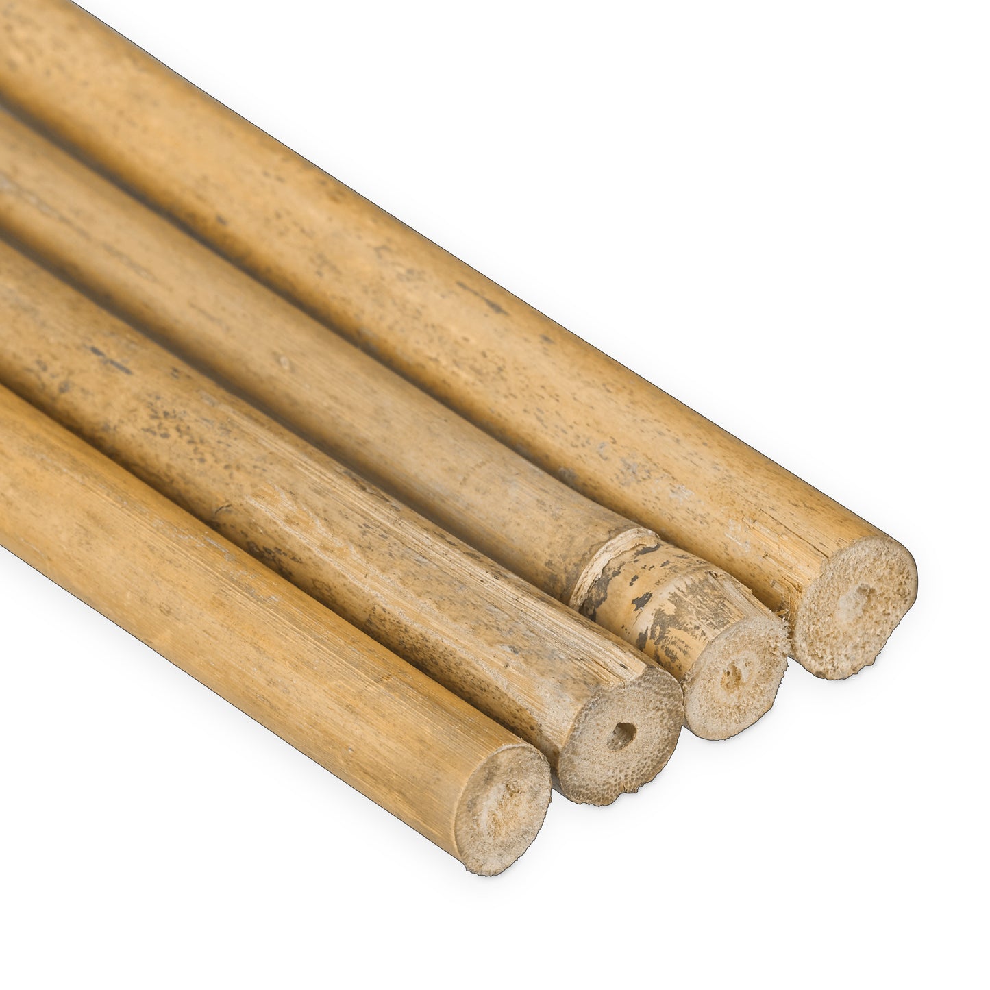 Bamboo Canes 105 cm
