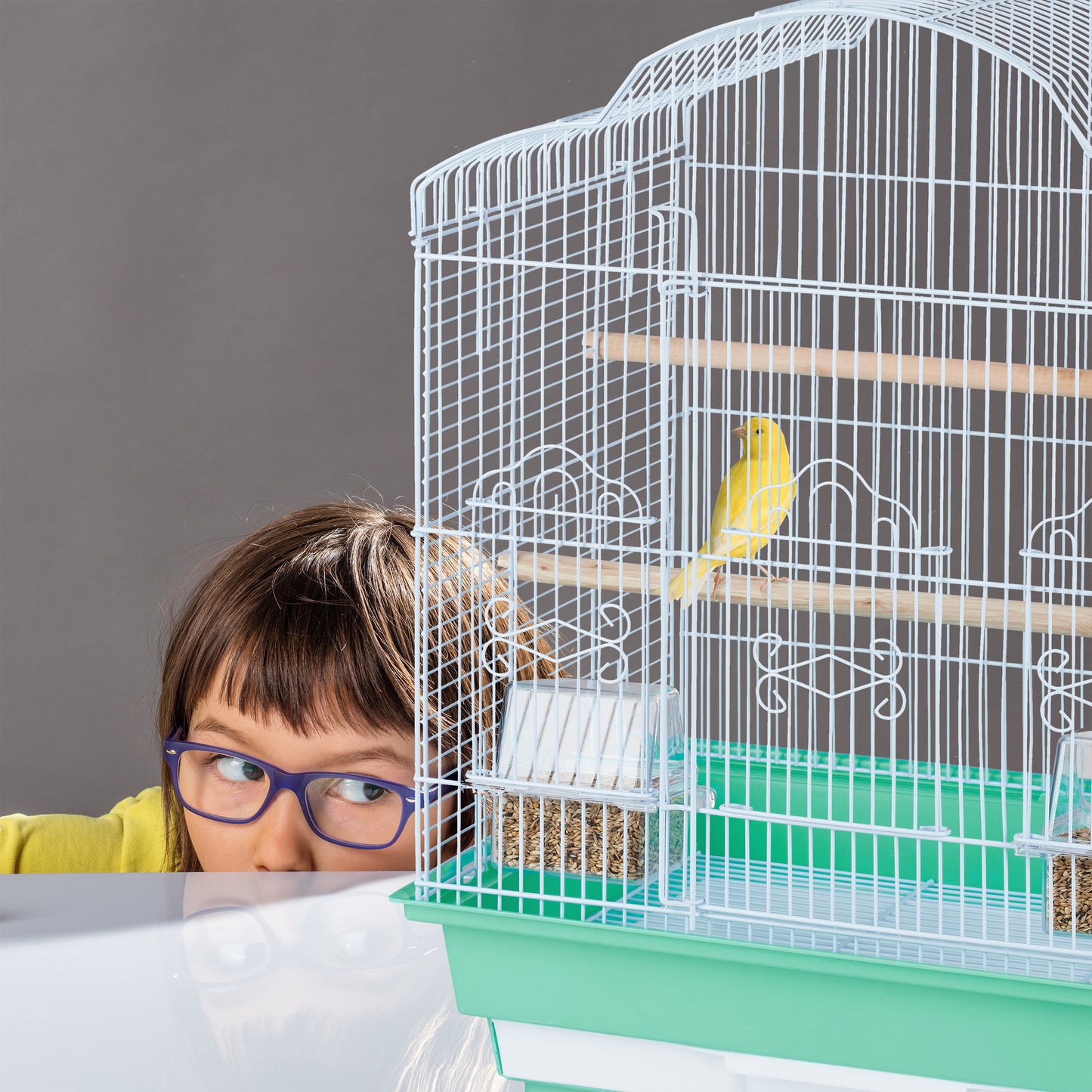 Bird Cage with Accessories
