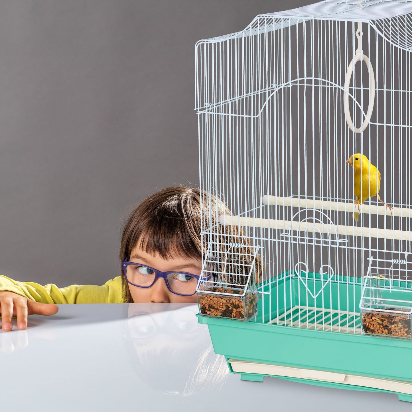 Bird Cage with Perches