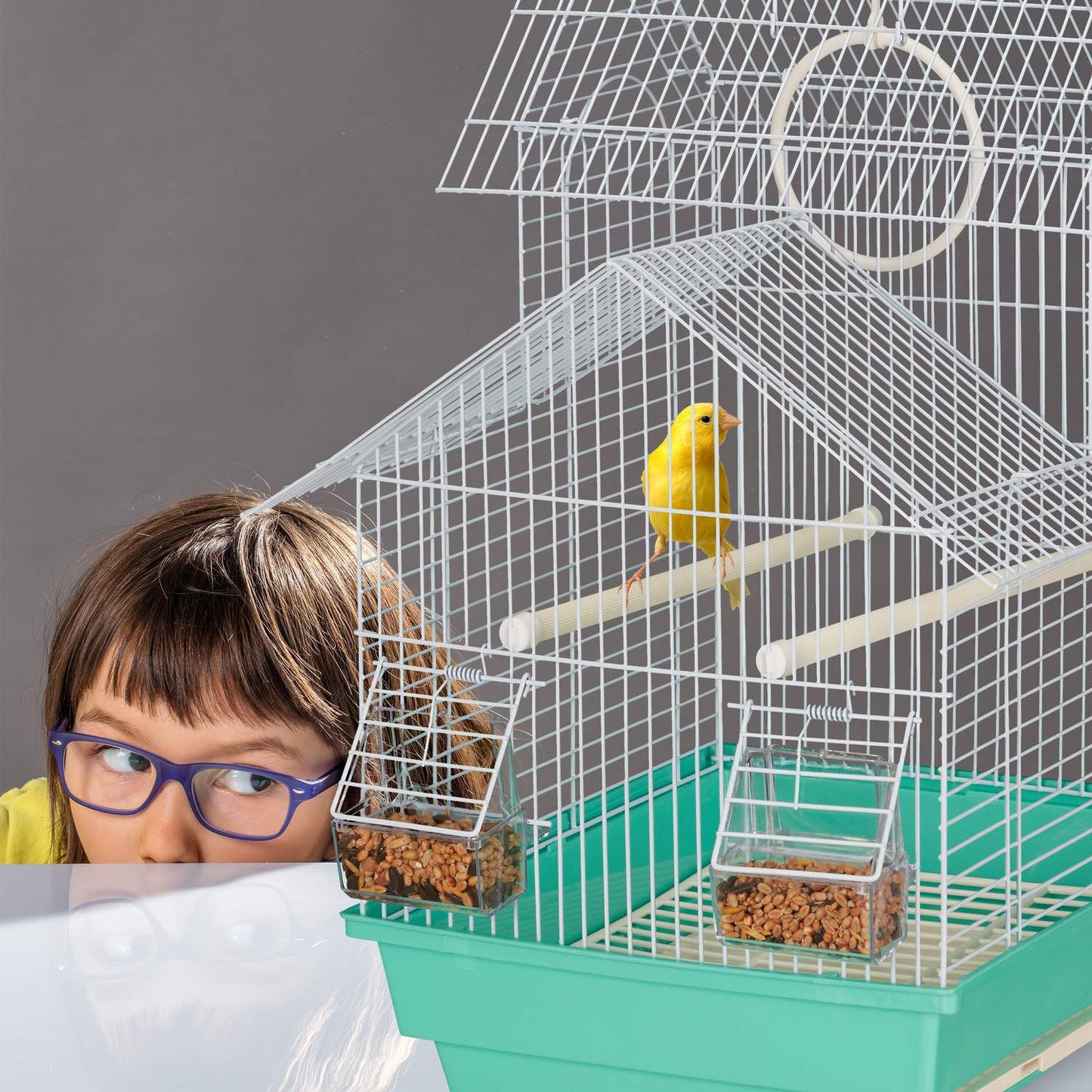 Birdcage with pointed roof