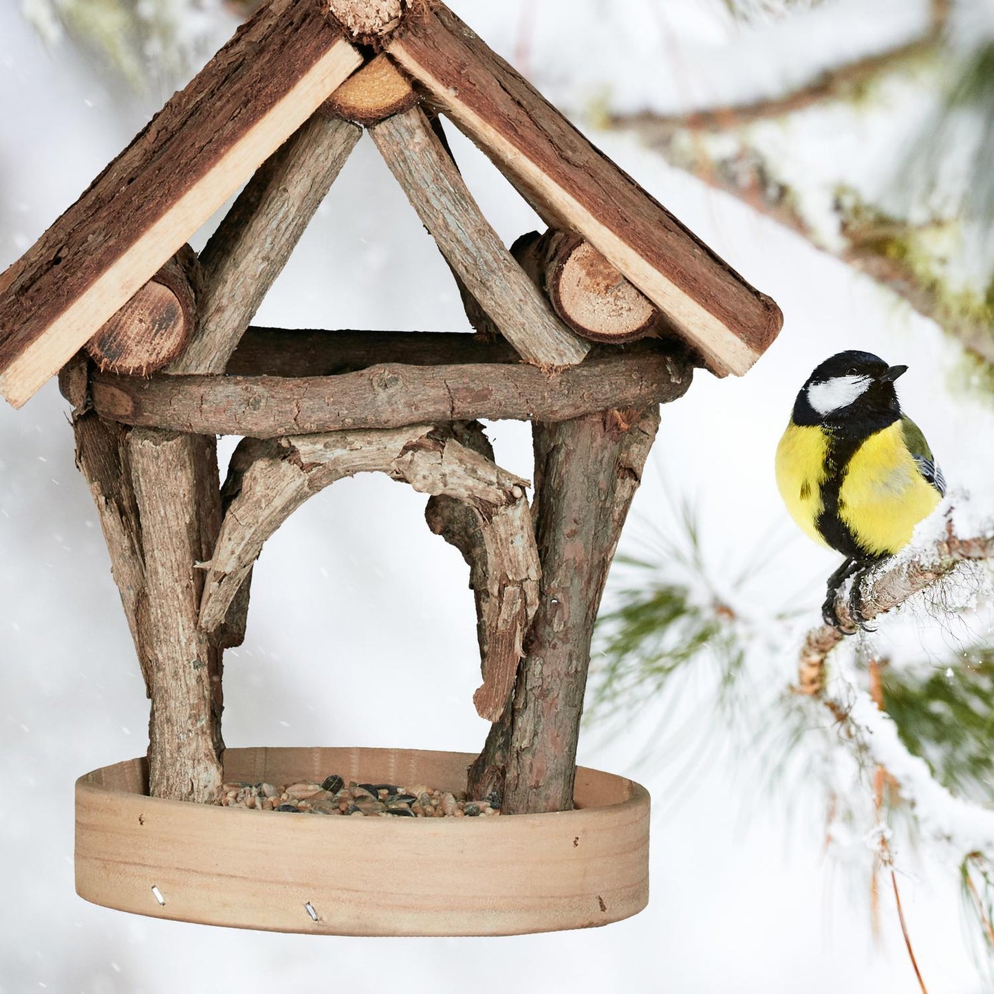 Bird feeding station for outdoors