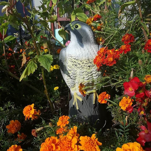 Bird scarer - falcon 23421