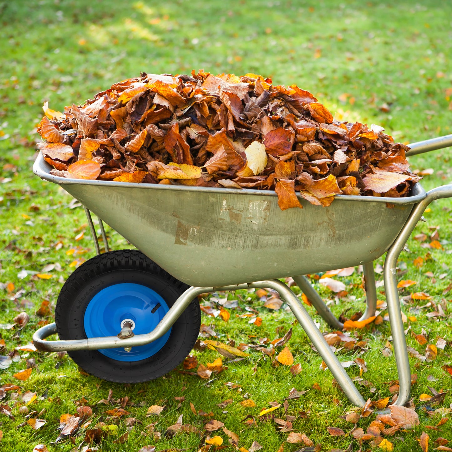 Blue Wheelbarrow Wheel with Axle
