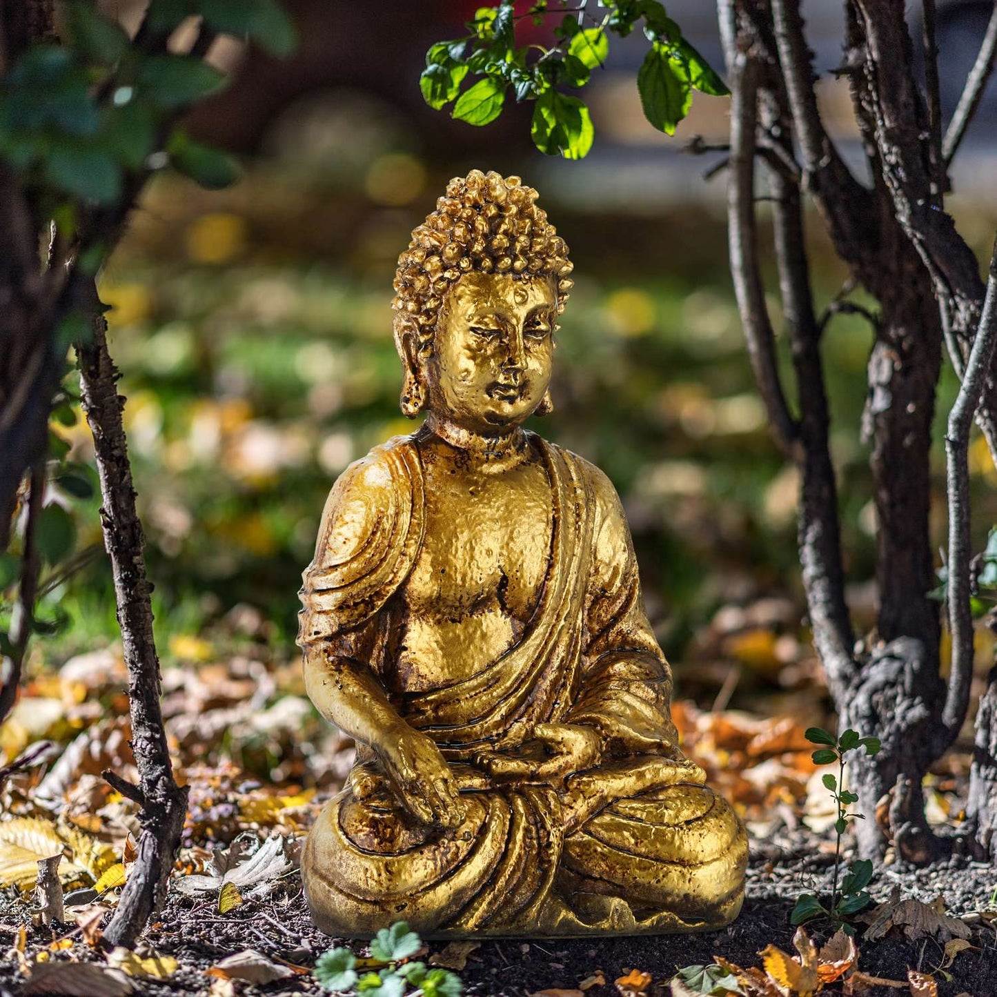 Buddha figure garden