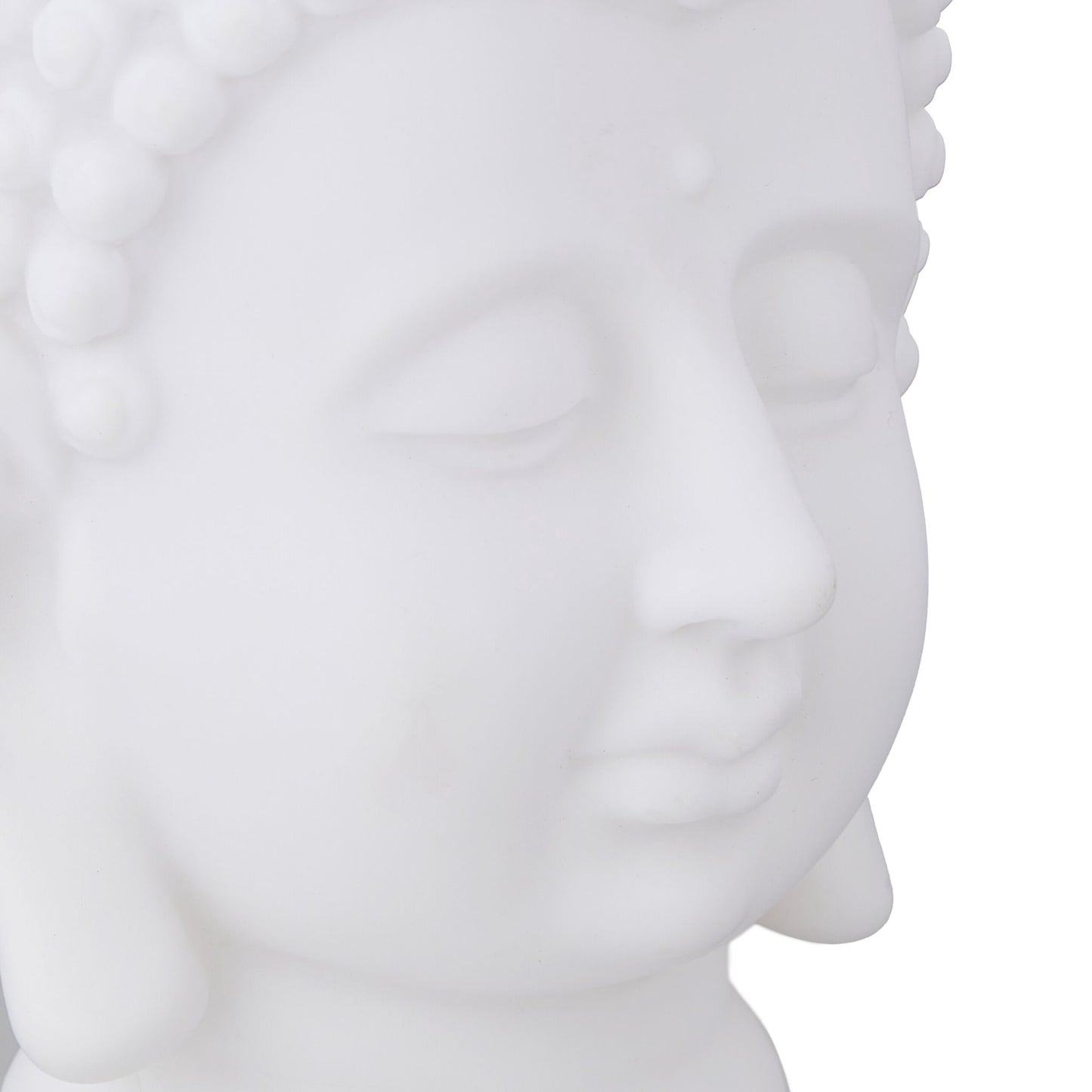 Buddha's head