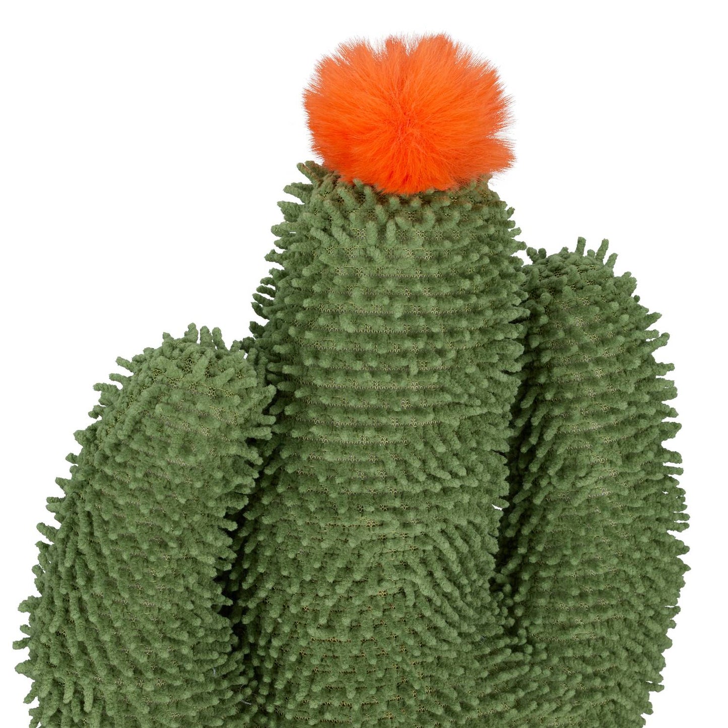 Cactus scratching post