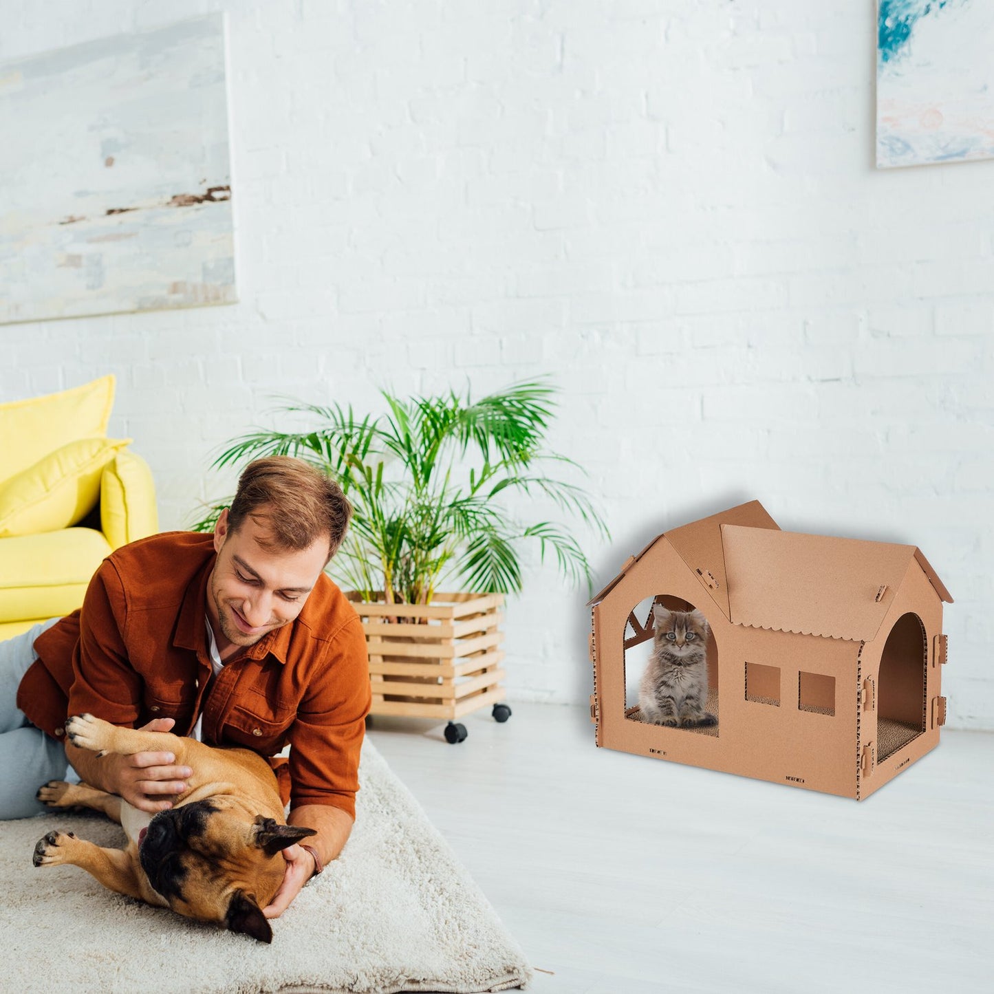 Cardboard cat house with scratching board