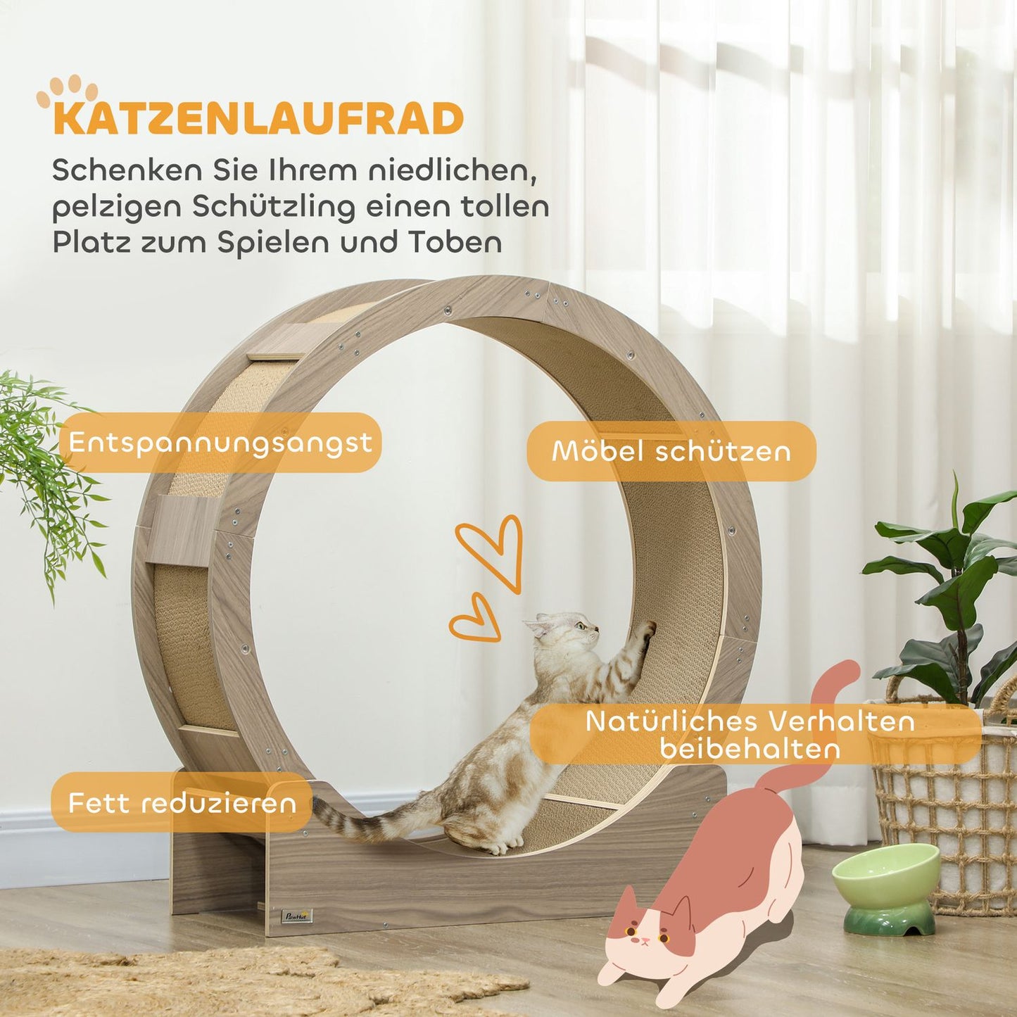 Cat training wheel with brake and scratching board