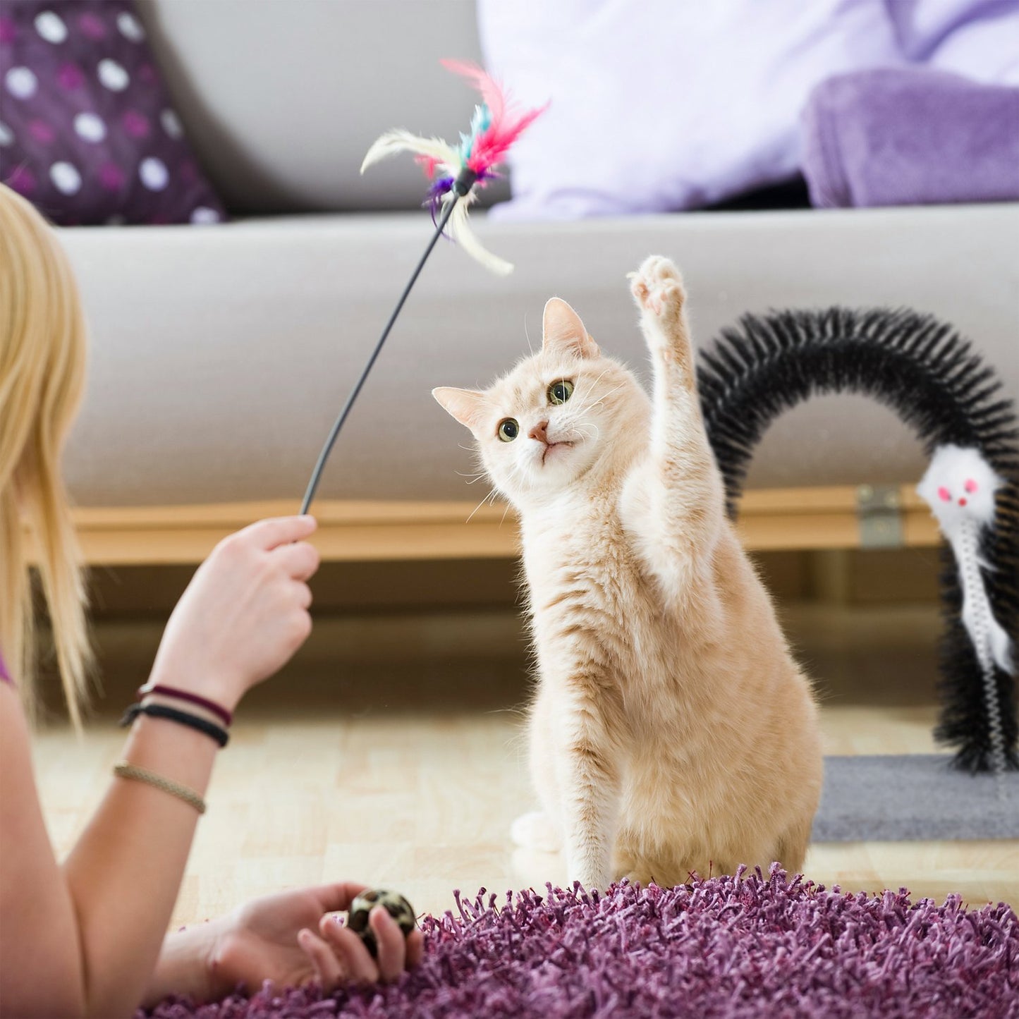 Cat Brush Arch with Toy Mouse
