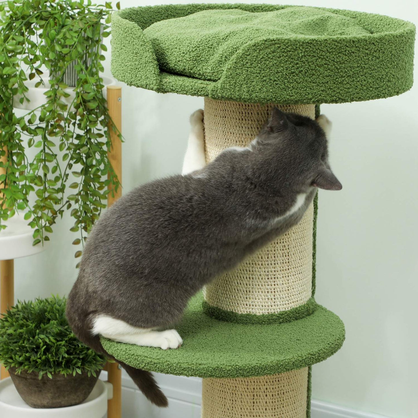 Cat Tree 91cm with Bed, Platforms, Sisal Posts, Green