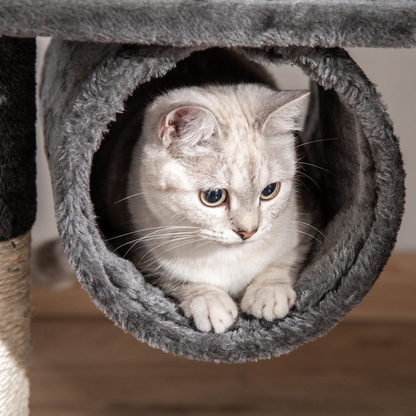 Adjustable cat tree at ceiling height with scratching post