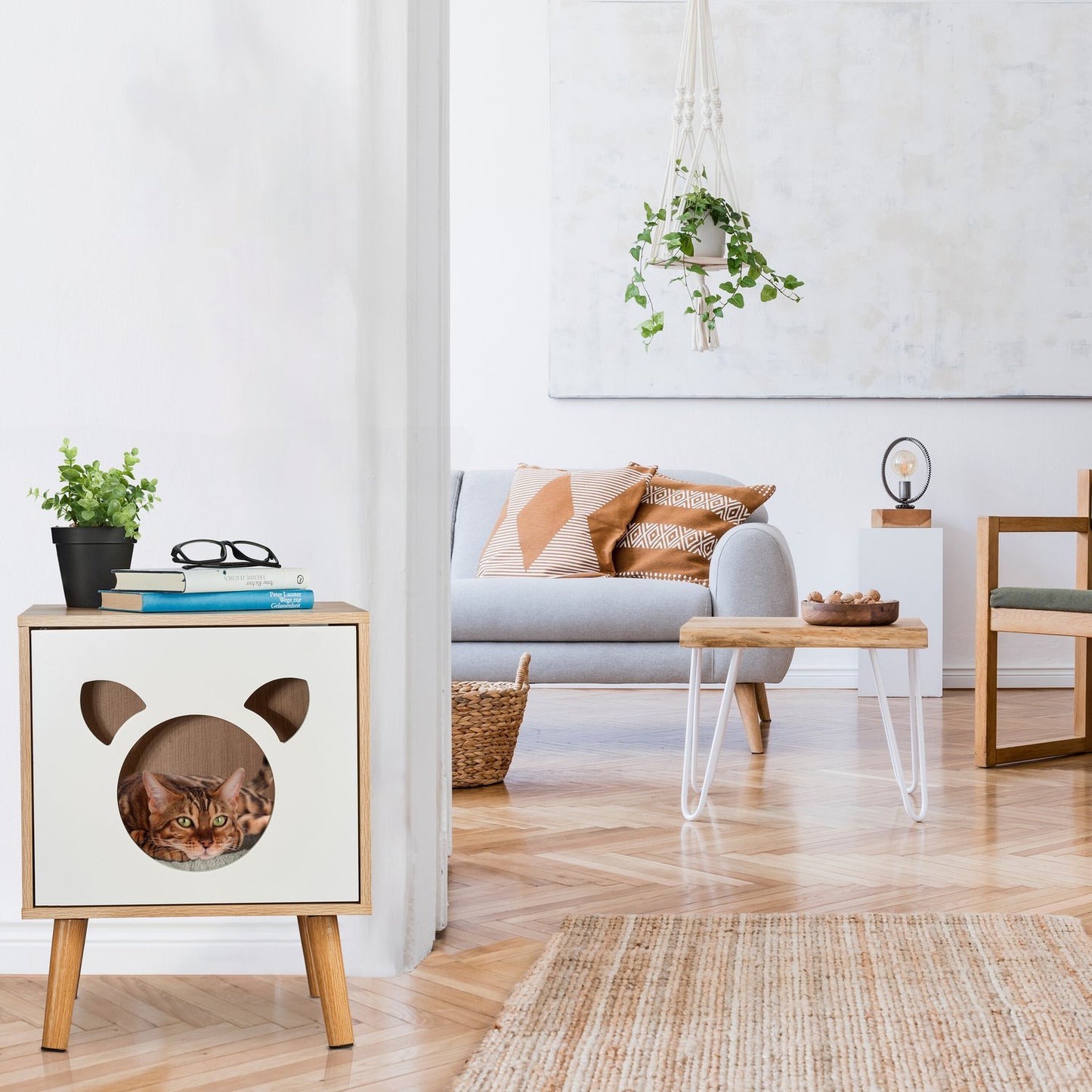 Cat cabinet with hinged door