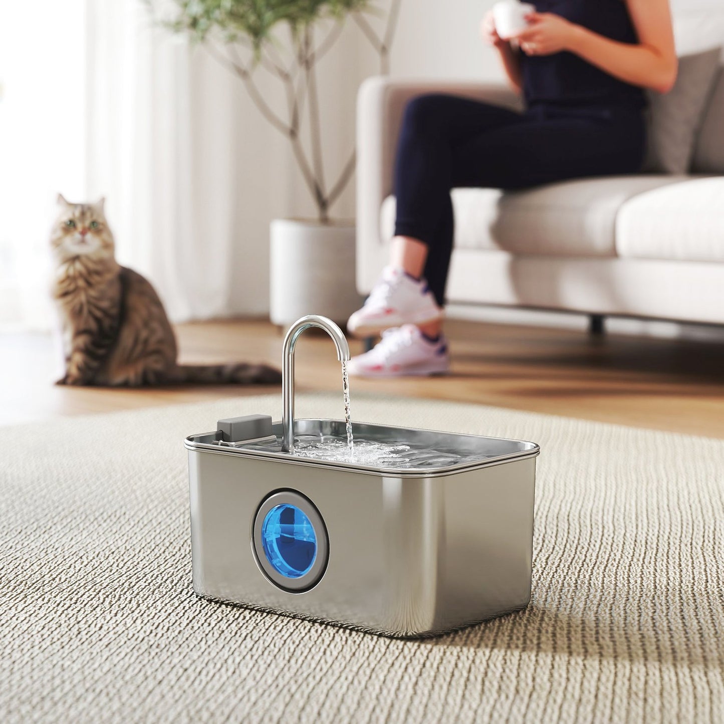 Cat fountain 3.2L drinking fountain for cats with quiet pump activated carbon filter