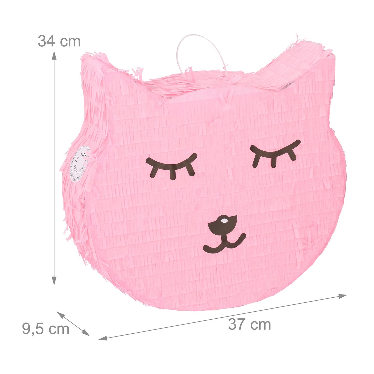 Cat pinata with lollipop and worm