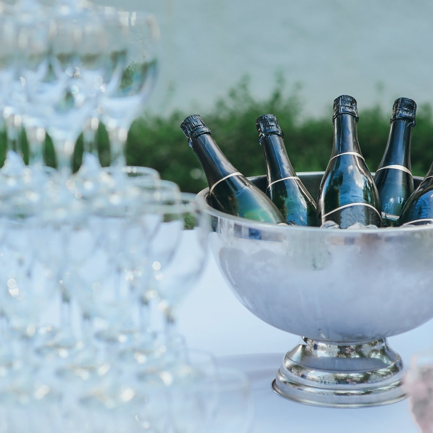 Champagne Cooler Bowl Stainless Steel