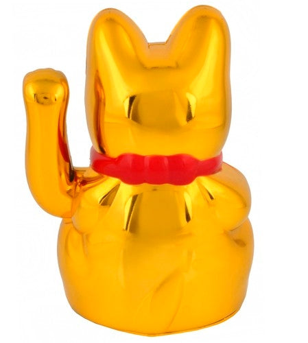 Chinese cat - golden