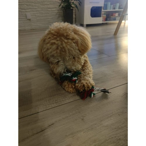 Christmas gift for dog - toys Purlov 22637