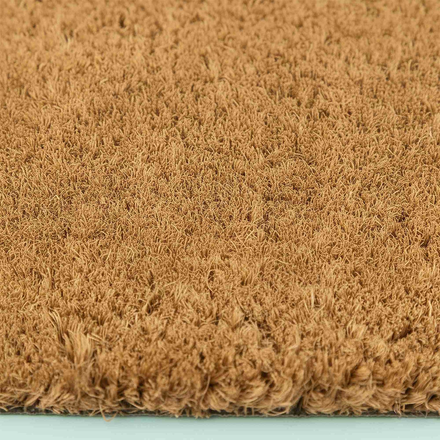 Coconut Fiber Animal Doormat, 60x40 cm, Dirt-Trapping