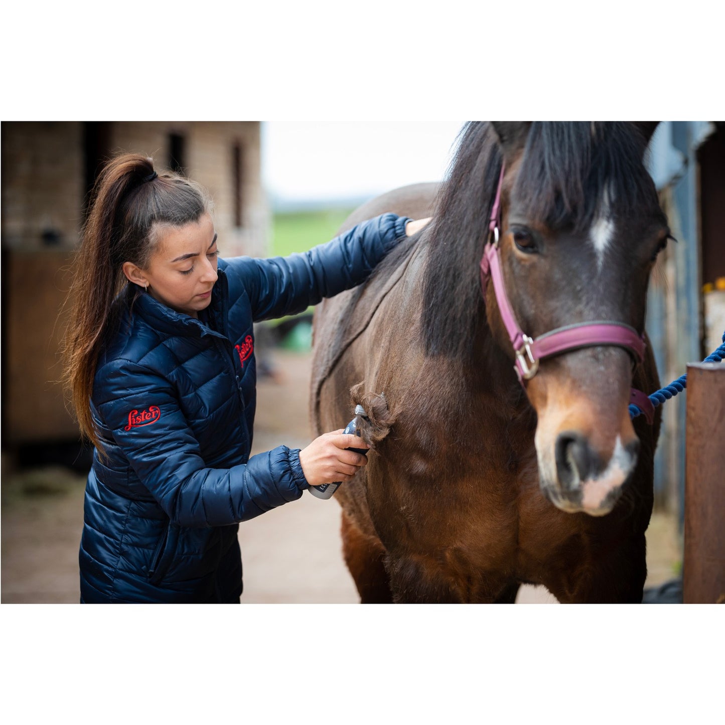 Cordless Horse Clipper, Lithium Battery, 130 Min Runtime