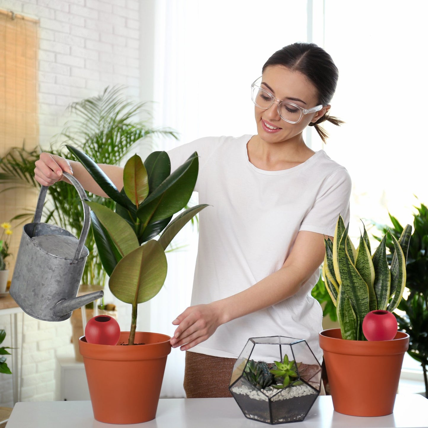 <p>Clay watering cones provide automatic plant hydration, ensuring your plants stay healthy even when you're away. These efficient tools are perfect for maintaining moisture during hot summers or vacations.</p>
<ul>
<li>Ensure consistent watering with au