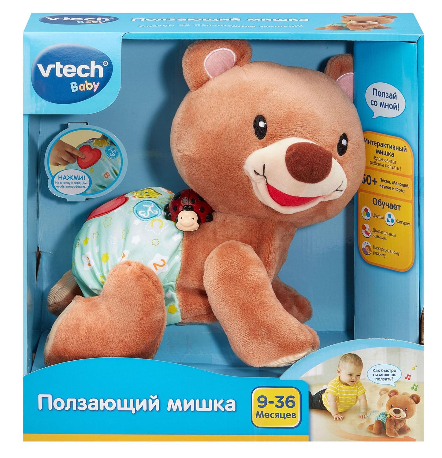 Crawl Along Bear Interactive Toy for Infants and Toddlers