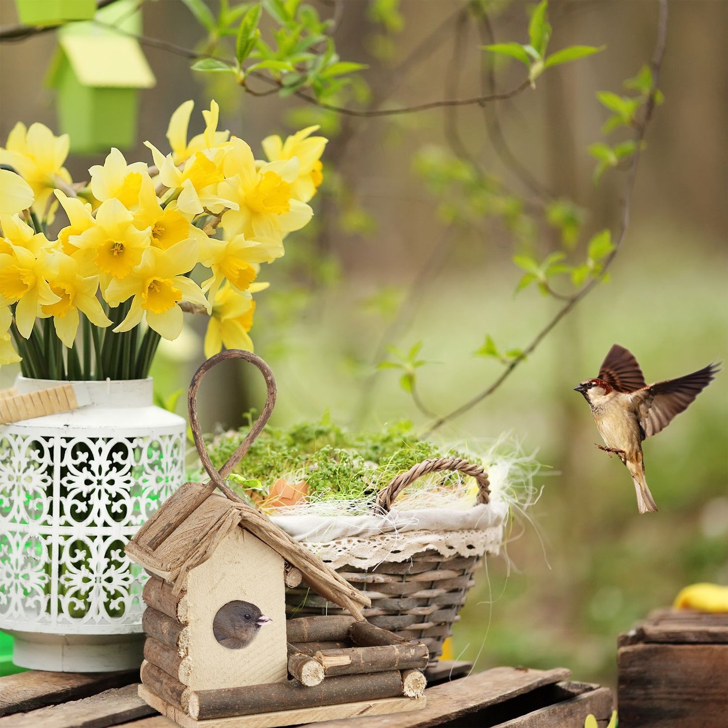 Decorative Hanging Bird House