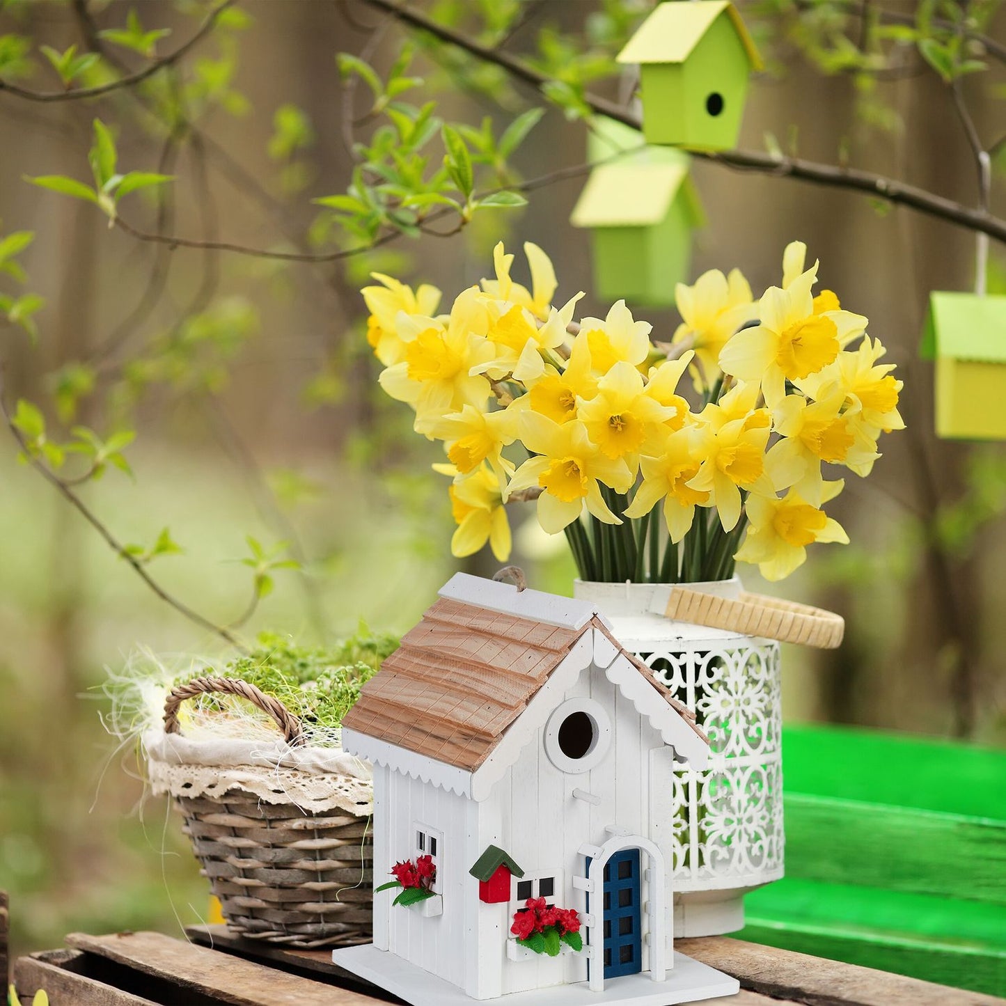 <p>The country-style birdhouse enhances your garden with rustic charm and weatherproof durability. Crafted from poplar and pine, it offers a cozy retreat for birds while beautifying your outdoor space.</p>
<ul>
<li>Enhance your garden with a unique rural
