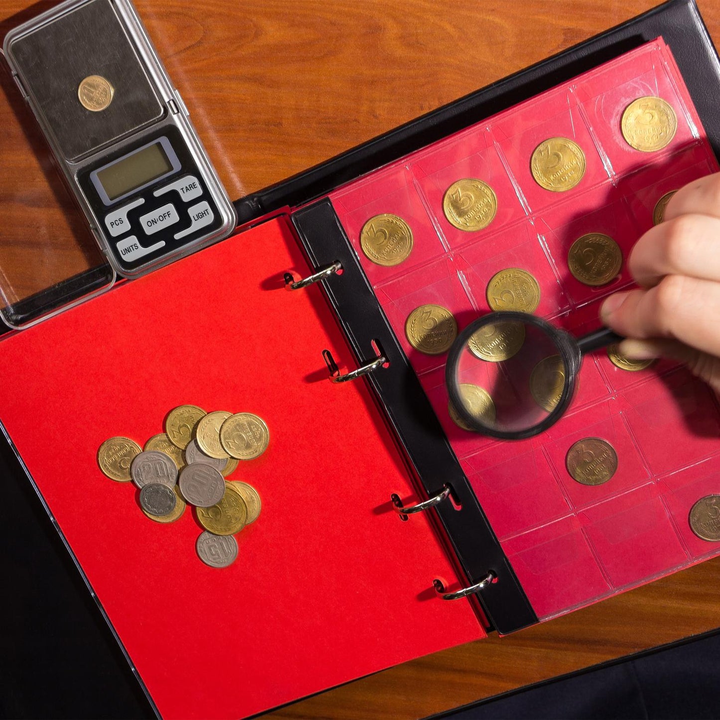 Digital Mini Scales