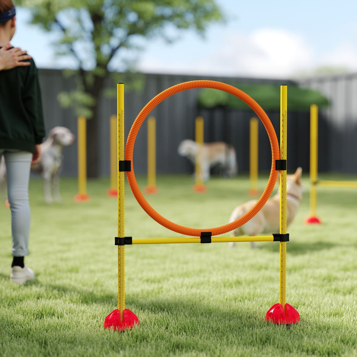Dog Agility Training Set, 4-piece adjustable equipment