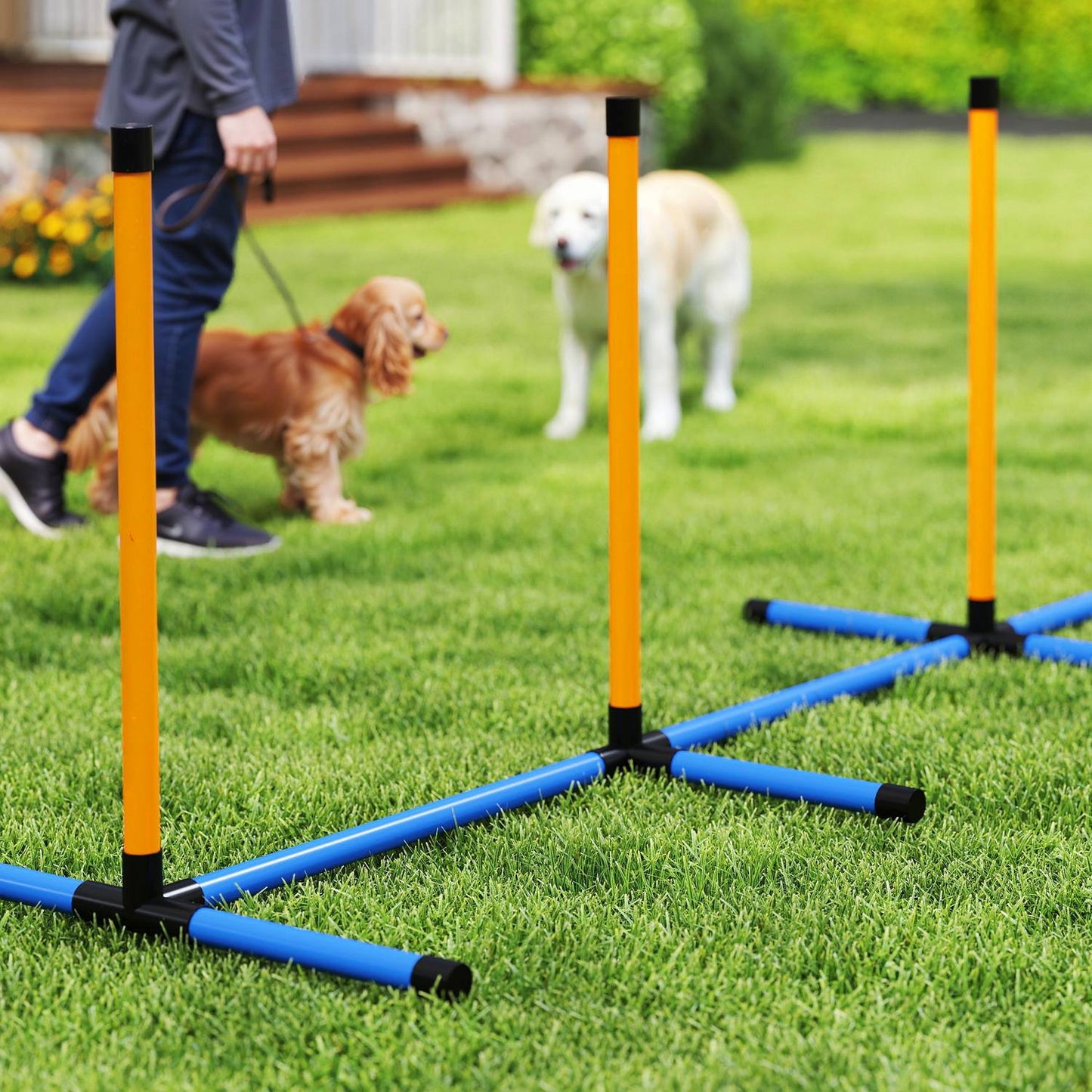 Dog Agility Set, adjustable hurdles & slalom poles, 9 parts