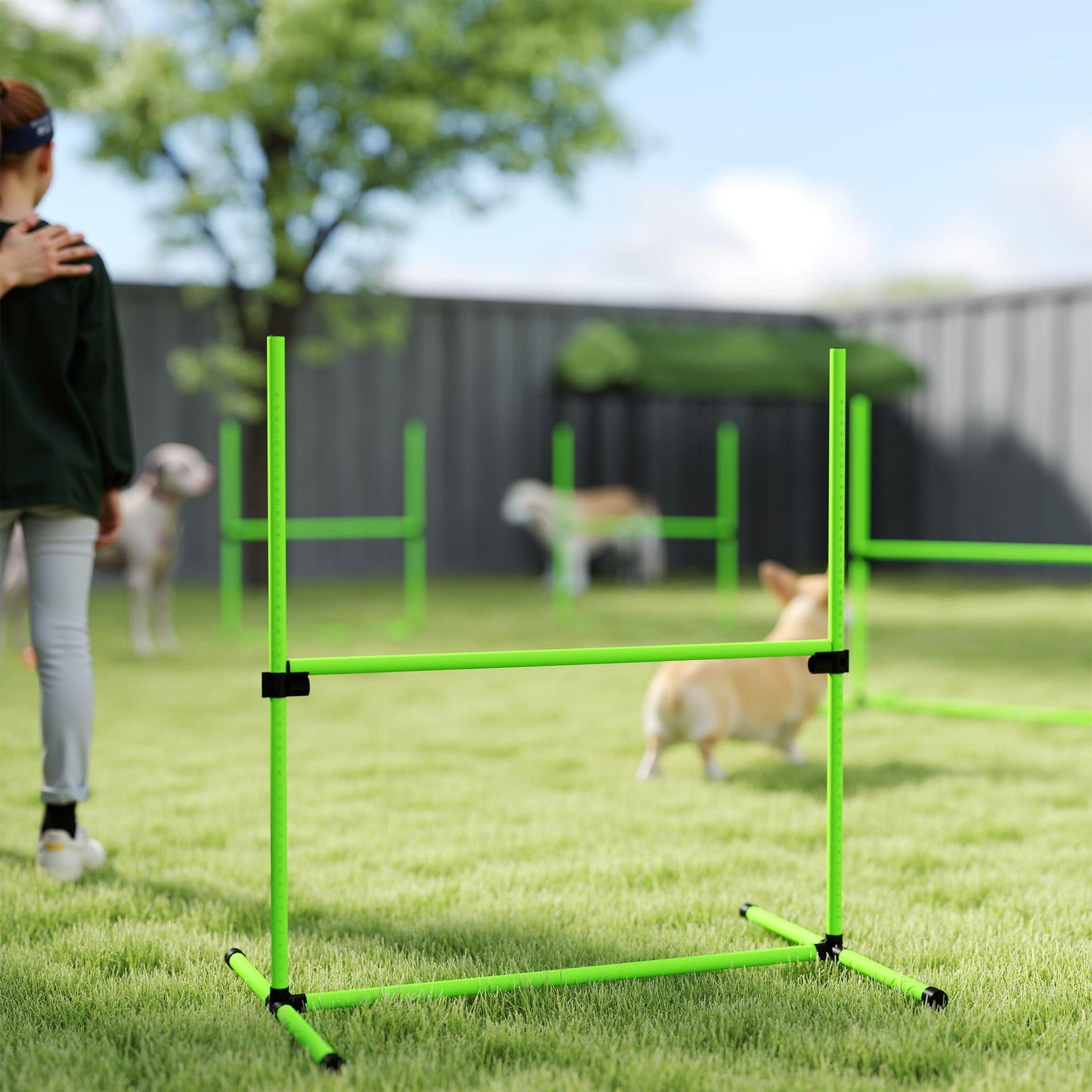 Dog Agility Set, Adjustable Hurdles with Carry Bag