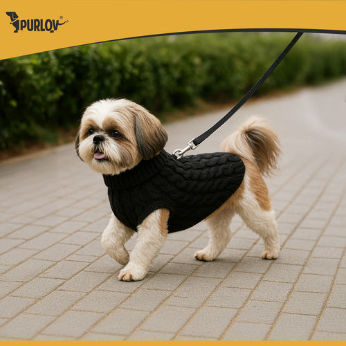 Dog/Cat Sweater, Black, Size L, Winter Warmth