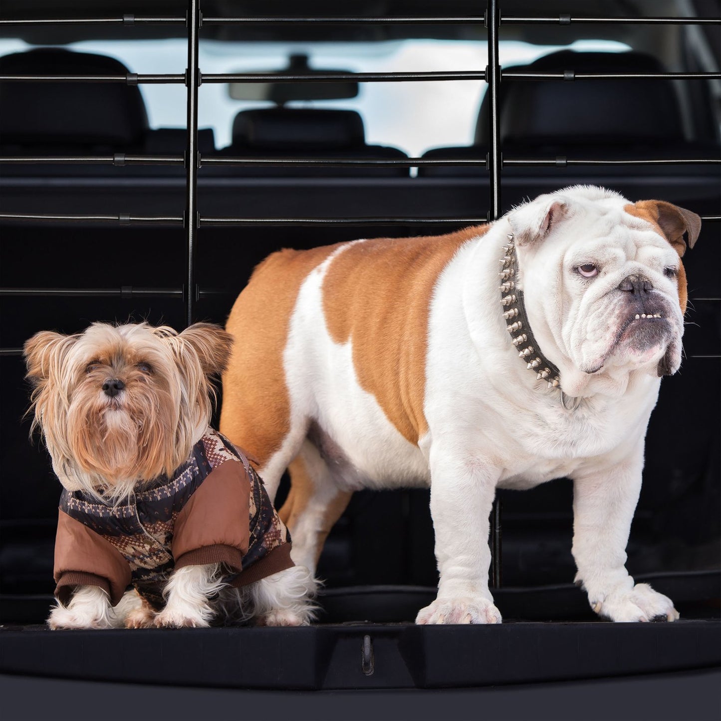 <p>Ensure safe car journeys with our universal dog safety guard, designed to fit securely between the floor and roof of any vehicle. This barrier keeps pets in the back, reducing distractions while driving.</p>
<ul>
<li>Fits any car with adjustable rods