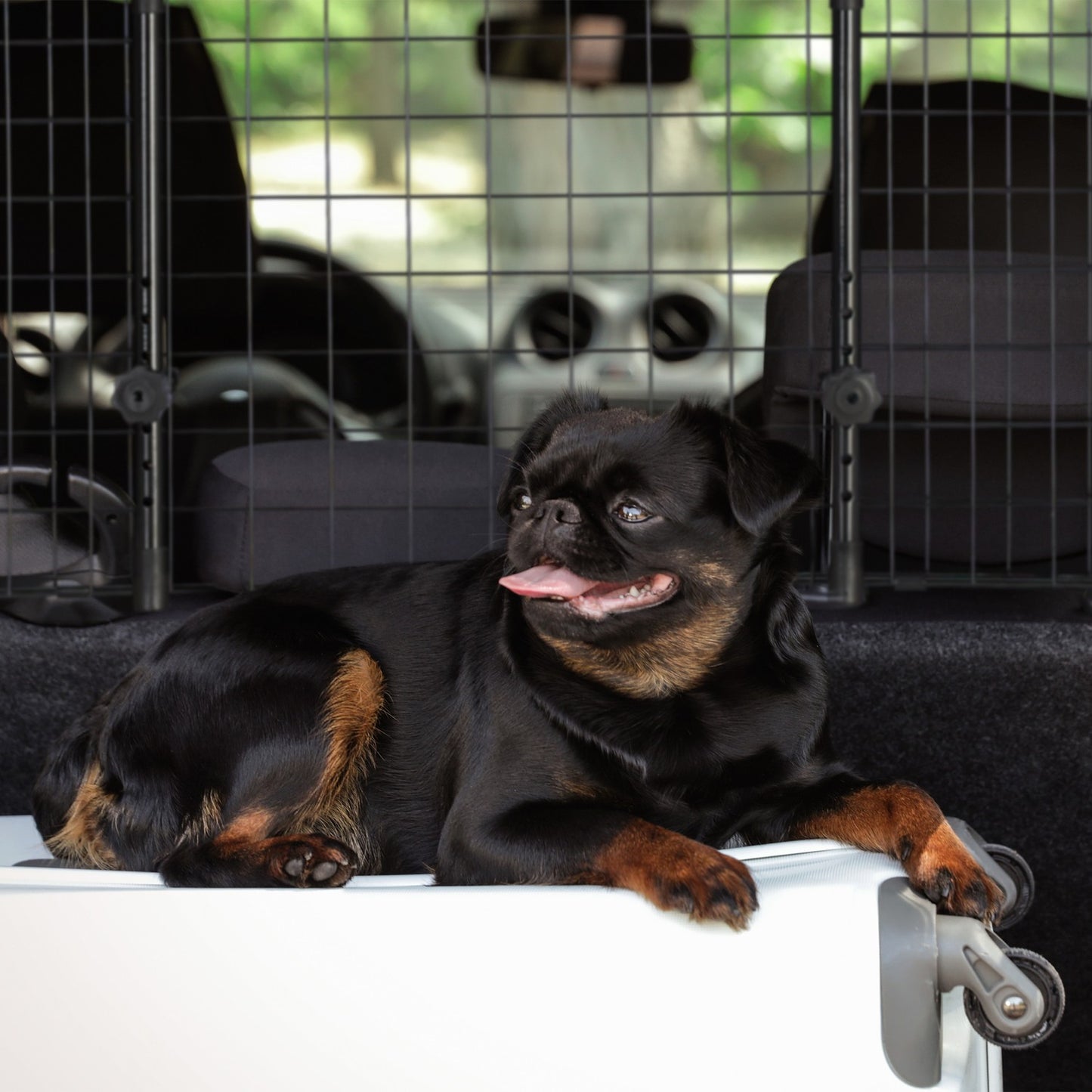 <p>Ensure safe and stylish travel with this dog safety gate, designed for secure transport and easy installation in your car's luggage compartment.</p>
<ul>
<li>Mount easily to head restraints for quick setup.</li>
<li>Ensure safe transport for pets duri