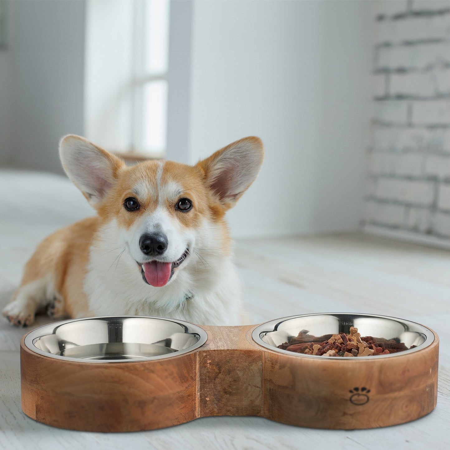 Dog bowl bar with 2 bowls